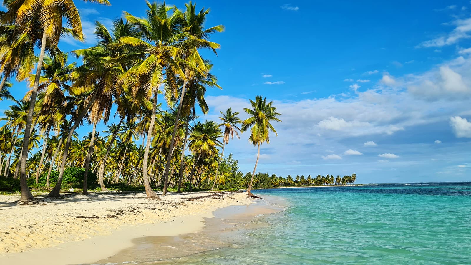 Tropical beach